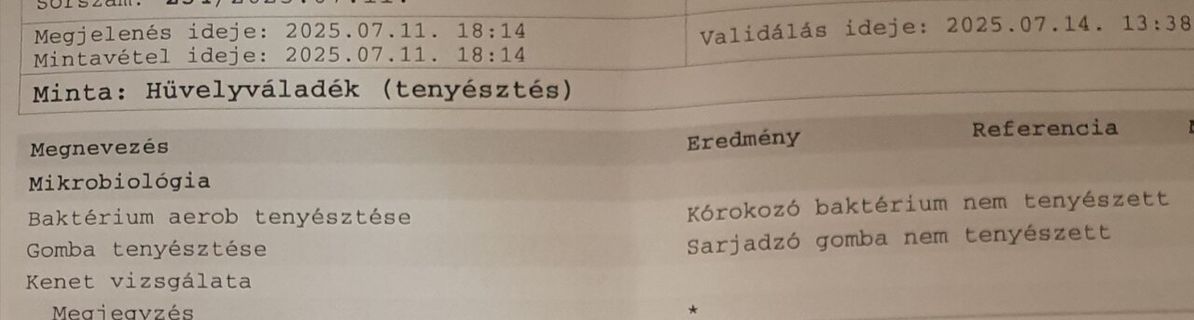 Vica - 16. fotó