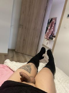 Maja - 53. fotó
