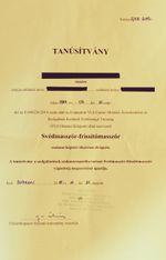 Endzsi - 1. fotó 