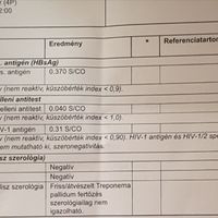 Vica - 38. fotó 